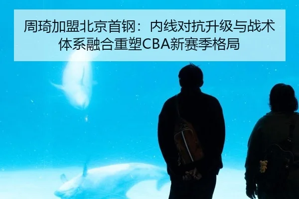 周琦加盟北京首钢：内线对抗升级与战术体系融合重塑CBA新赛季格局