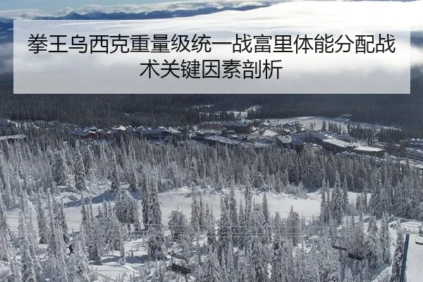 拳王乌西克重量级统一战富里体能分配战术关键因素剖析
